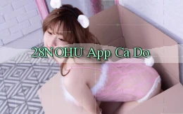 28nohu app cá độ