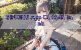 28nohu app cá độ đá banh