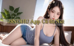 28nohu app cá độ net