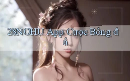 28nohu app cược bóng đá