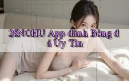 28nohu app đánh bóng đá uy tín