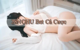 28nohu bet cá cược