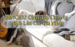 28nohu cách tải cho người ở Lào Cai tốt nhất