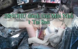 28nohu đánh giá mới nhất tại sao