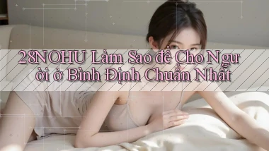 28nohu làm sao để cho người ở Bình Định chuẩn nhất