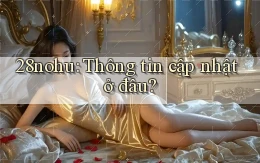 28nohu thông tin cập nhật ở đâu