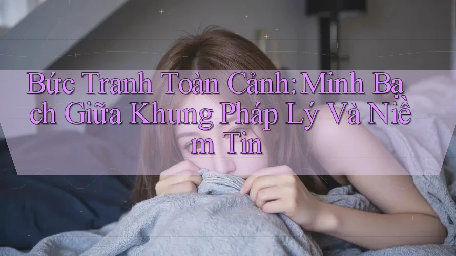 Bức Tranh Toàn Cảnh: Minh Bạch Giữa Khung Pháp Lý Và Niềm Tin Bức Tranh Toàn Cảnh: Minh Bạch Giữa Khung Pháp Lý Và Niềm Tin
