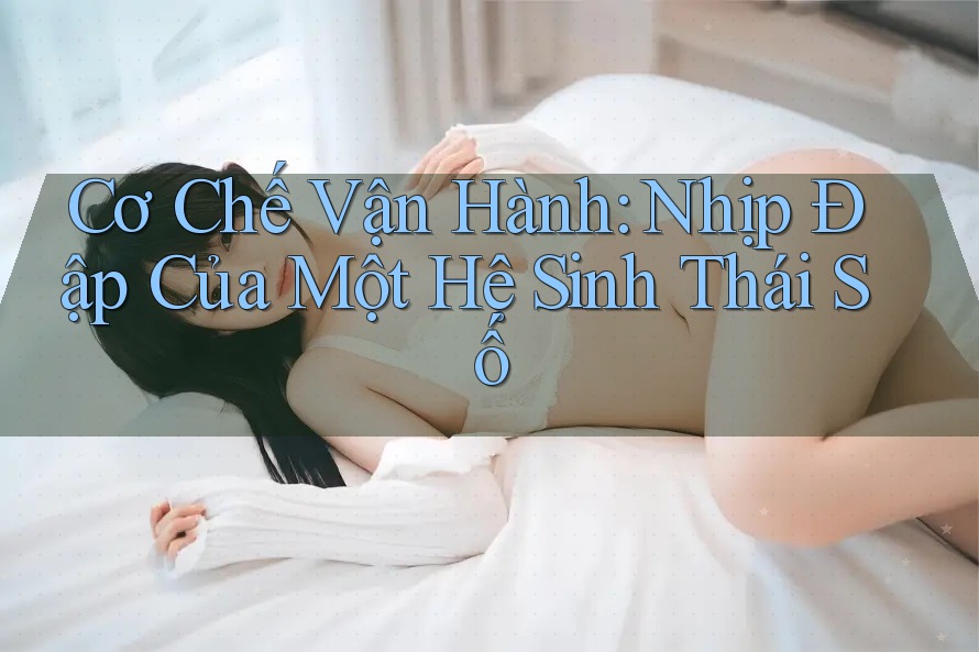 Cơ Chế Vận Hành: Nhịp Đập Của Một Hệ Sinh Thái Số Cơ Chế Vận Hành: Nhịp Đập Của Một Hệ Sinh Thái Số
