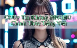 có uy tín không 28nohu chính thức tiếng việt