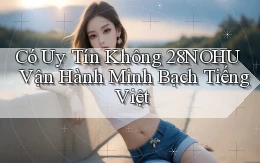 có uy tín không 28nohu vận hành minh bạch tiếng việt