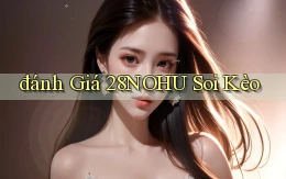 đánh giá 28nohu soi kèo