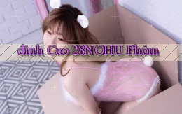đỉnh cao 28nohu phỏm