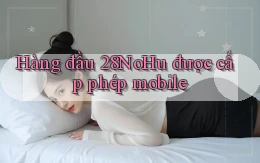 hàng đầu 28nohu được cấp phép mobile