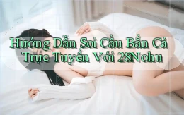 hướng dẫn soi cầu bắn cá trực tuyến với 28nohu