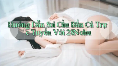 hướng dẫn soi cầu bắn cá trực tuyến với 28nohu