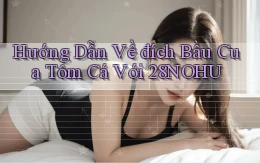 hướng dẫn về đích bầu cua tôm cá với 28nohu