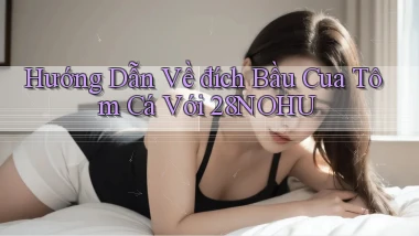 hướng dẫn về đích bầu cua tôm cá với 28nohu