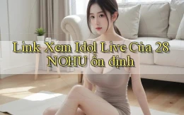 link xem idol live của 28nohu ổn định
