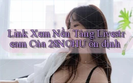 link xem nền tảng livestream của 28nohu ổn định