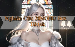 nghiên cứu 28nohu box tiktok