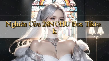 nghiên cứu 28nohu box tiktok