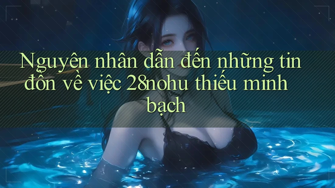 Nguyên nhân dẫn đến những tin đồn về việc 28nohu thiếu minh bạch Nguyên nhân dẫn đến những tin đồn về việc 28nohu thiếu minh bạch