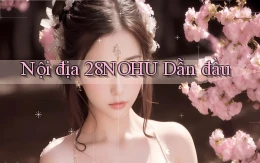 nội địa 28nohu dẫn đầu