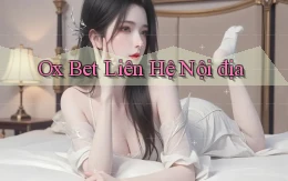ox bet liên hệ nội địa