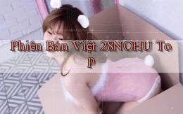 phiên bản việt 28nohu top