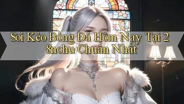 soi kèo bóng đá hôm nay tại 28nohu chuẩn nhất