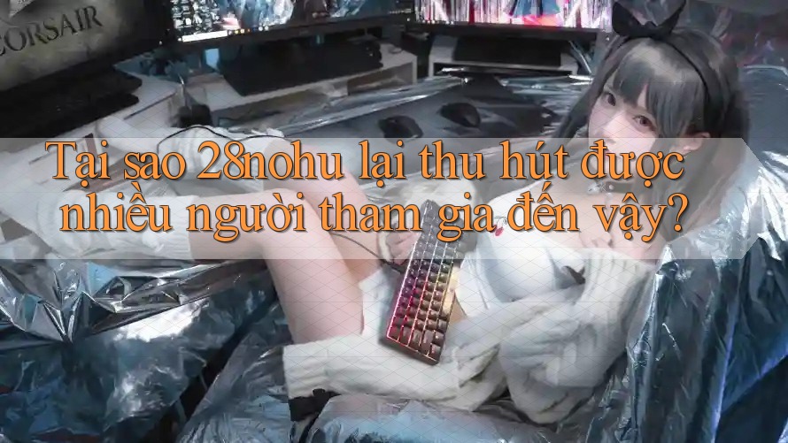 Tại sao 28nohu lại thu hút được nhiều người tham gia đến vậy? Tại sao 28nohu lại thu hút được nhiều người tham gia đến vậy?