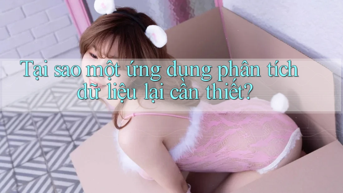 Tại sao một ứng dụng phân tích dữ liệu lại cần thiết? Tại sao một ứng dụng phân tích dữ liệu lại cần thiết?