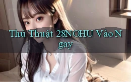 thủ thuật 28nohu vào ngay