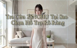 tra cứu 28nohu tại sao chọn hỗ trợ rõ ràng