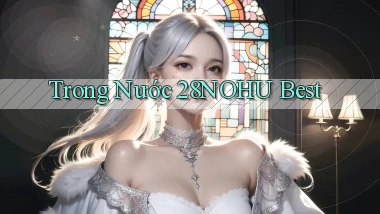 trong nước 28nohu best